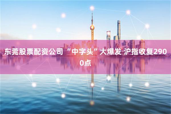 东莞股票配资公司 “中字头”大爆发 沪指收复2900点