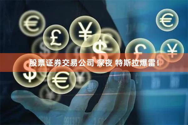 股票证券交易公司 深夜 特斯拉爆雷！